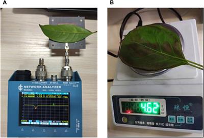 Design, analysis and validation of a microstrip patch antenna with enhanced coupling for leaf moisture sensing: an IoT approach